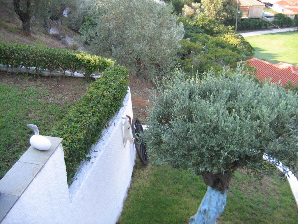 Villa Frideriki Agia Paraskevi  Zimmer foto